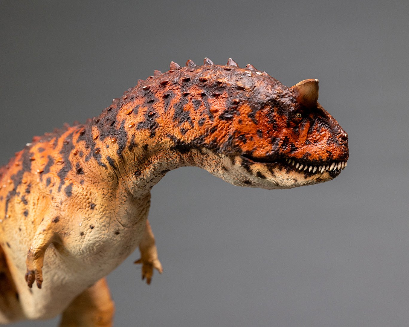 Carnotaurus, sculpture by Charlie McGrady, view 3