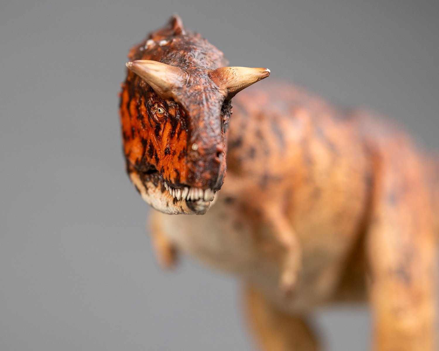 Carnotaurus, sculpture by Charlie McGrady, view 5