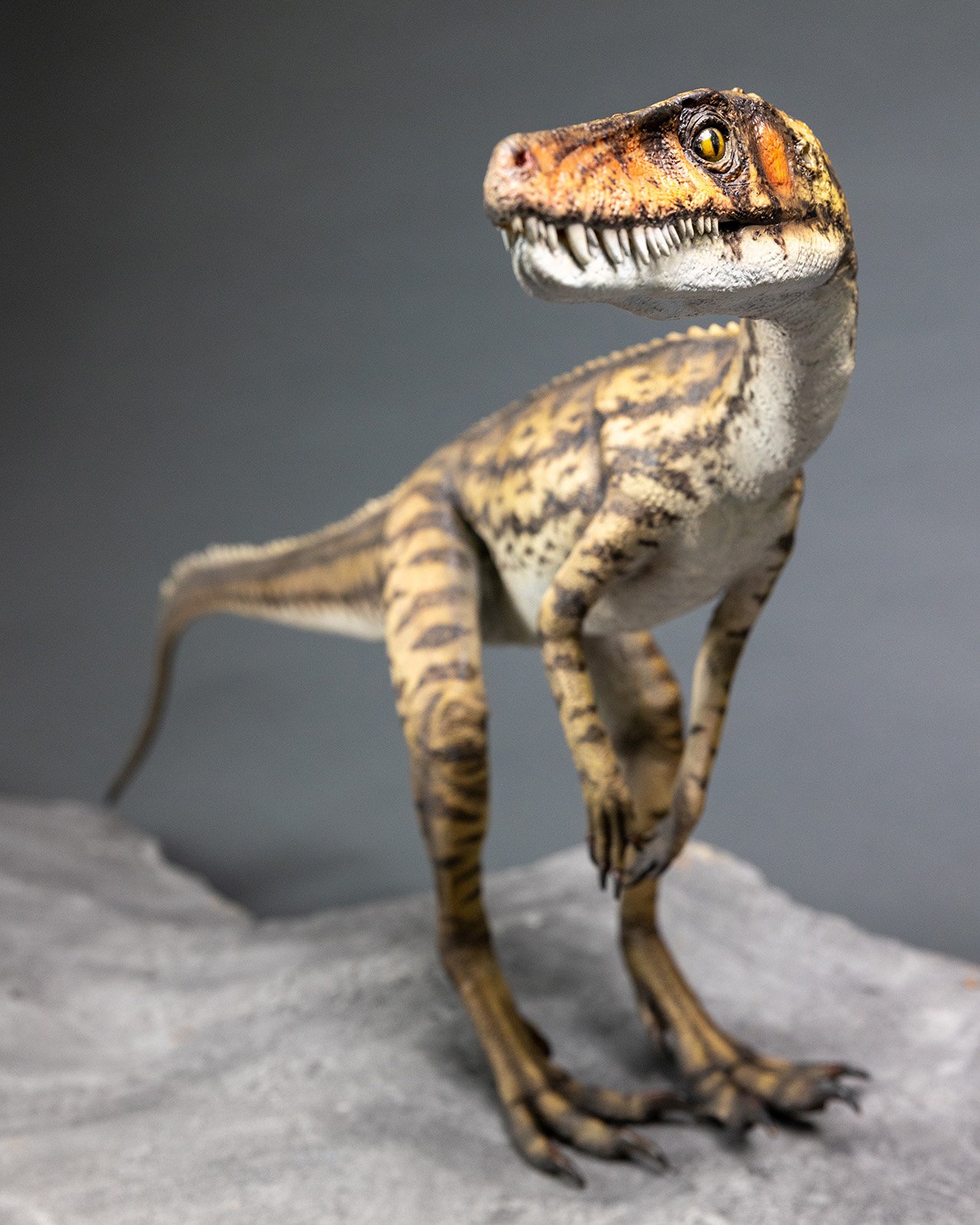 Lewisuchus, sculpture by Charlie McGrady, view 2